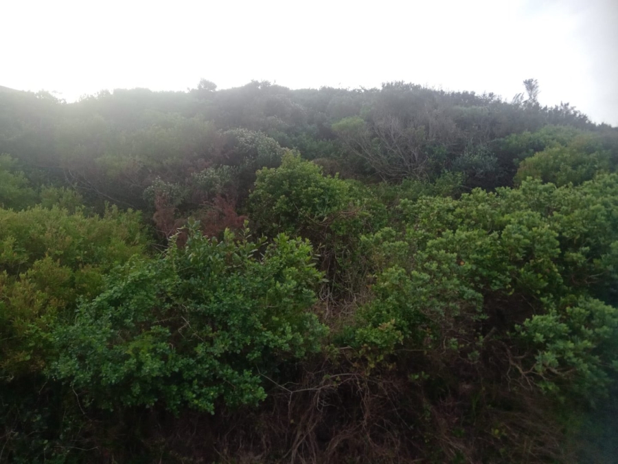 Commercial Property for Sale in Paradise Beach Eastern Cape